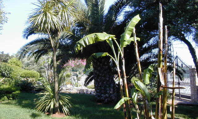 DSCN0012