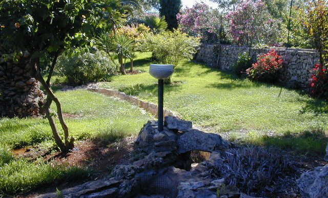 DSCN0042