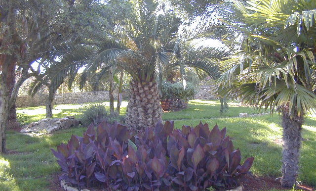 DSCN0127