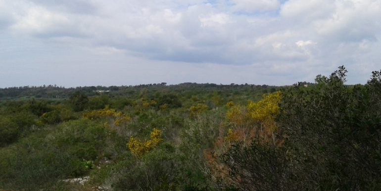 20170407_124742