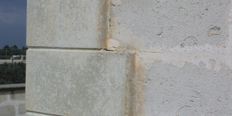 P1010070